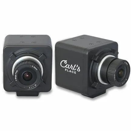 Carl’s Place Swing Camera (Set of Two)