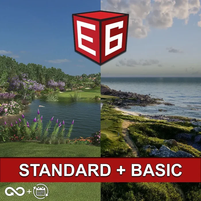 E6 Standard with Basic Subscription