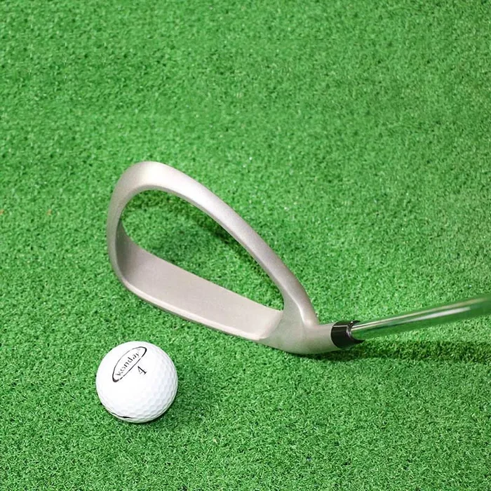 Lesmart Assist Swing Trainer