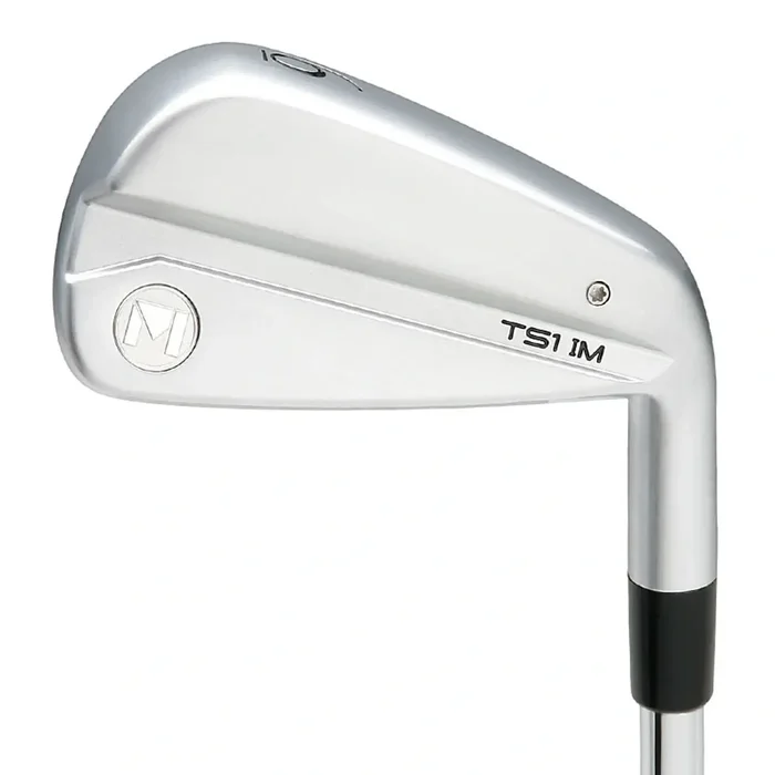 Maltby TS1 IM Forged Iron Heads Only