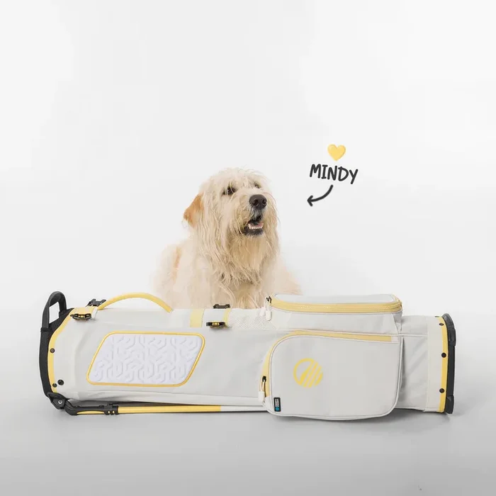 Sunday Golf El Camino Golf Stand Bag Mind Lemon Bag Height 34″