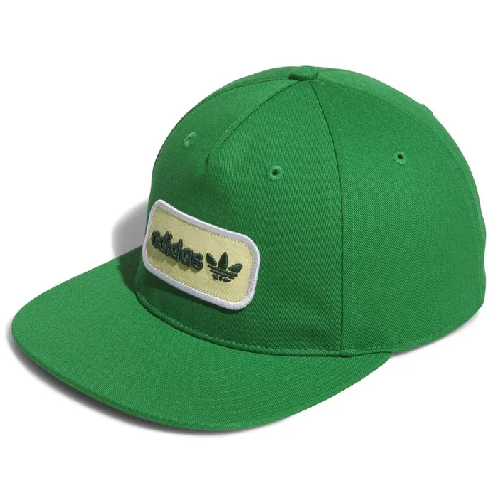 Tour Archive 5 Panel Hat