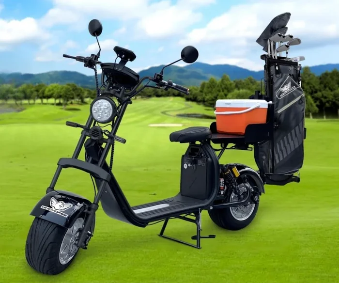 Windhorse: D2 Electric Golf Cart Scooter